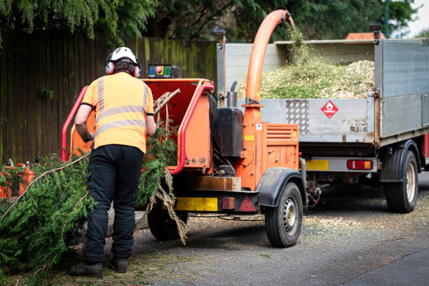 Best Affordable Tree Service  in Upper Fruitland, NM